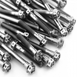 Ti-6al-4v fasteners for sports cars with price per kg